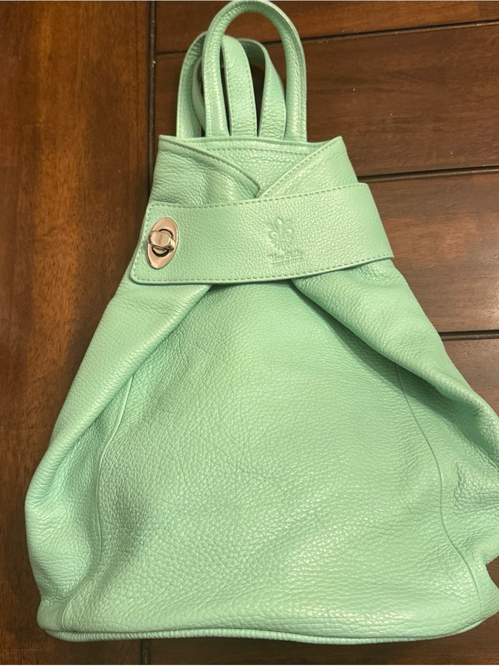 Vera Pelle Green Mint Italian Leather Backpack Bag -